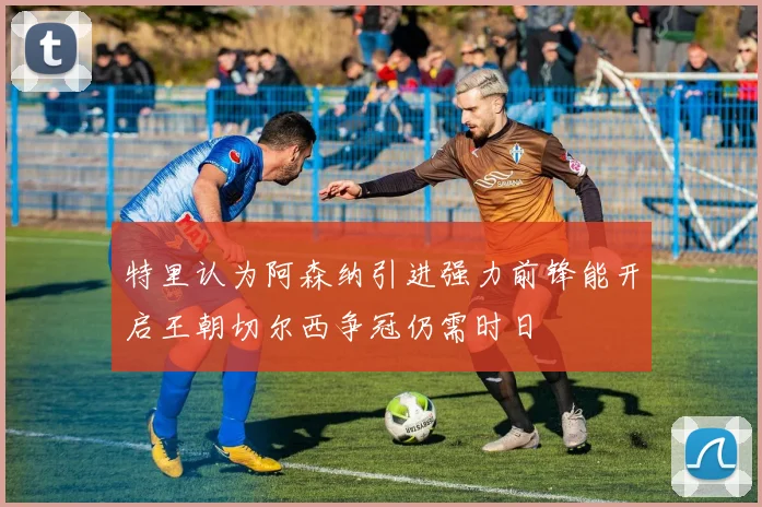 特里认为阿森纳引进强力前锋能开启王朝切尔西争冠仍需时日